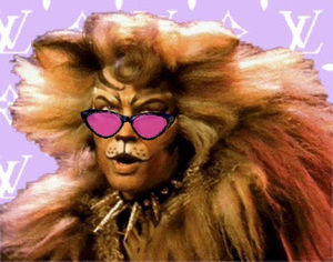 Meet your Posher, Casper